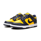 NIKE DUNK LOW MICHIGAN (2021) - Designer Supplier 