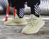 Adidas Yeezy Boost 350 V2 Antlia