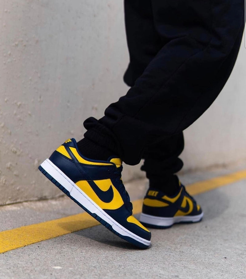 Nike Dunk Low Michigan (2021)