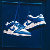 Nike Dunk Low SP Kentucky